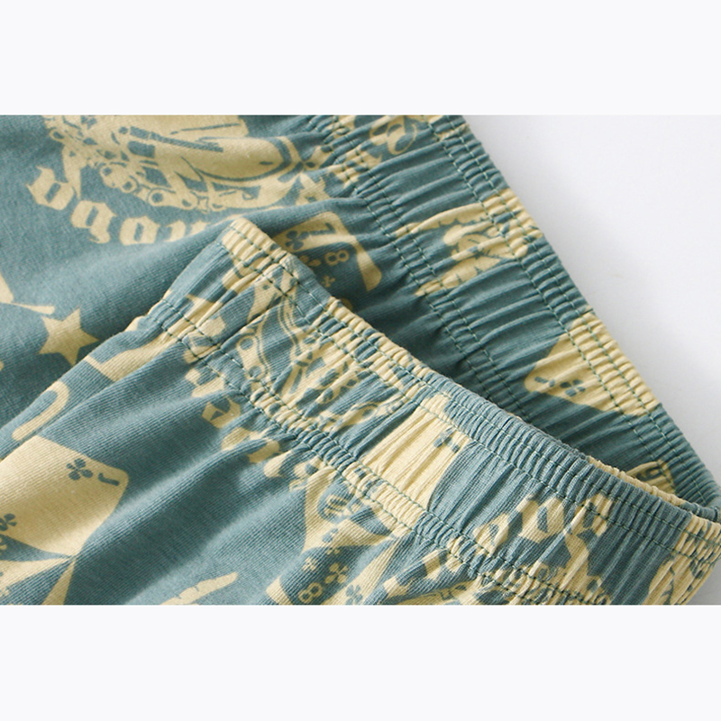 1Pcs Mens Aro Pants Cotton Box - Boyshort Underwear 评论和价格