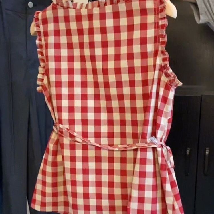 Retro Red Plaid Sleeveless Ves - Corset Waist Cinch 评论和价格