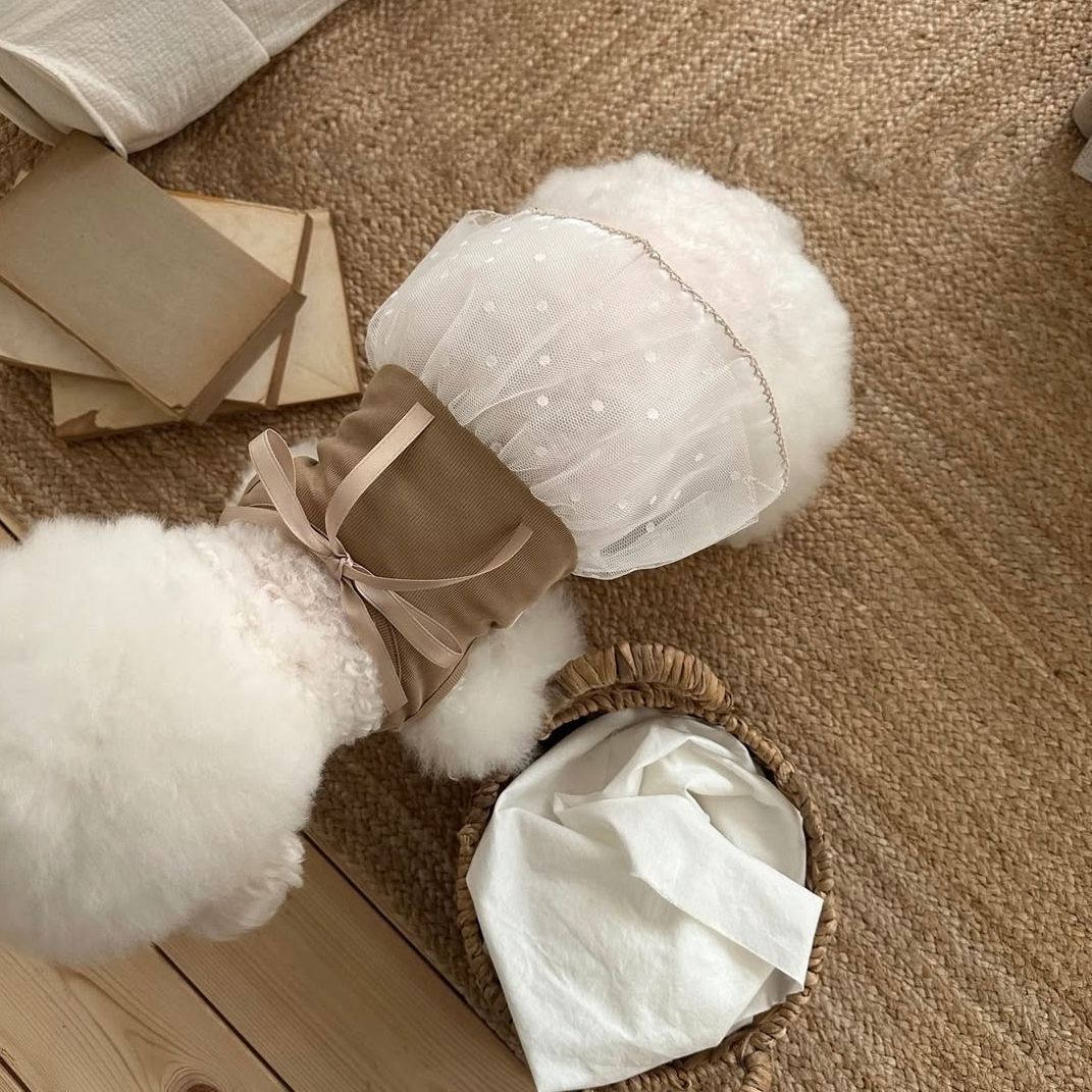 Spring and Summer Pet Lace Cam - Lace Teddy Lingerie 评论和价格