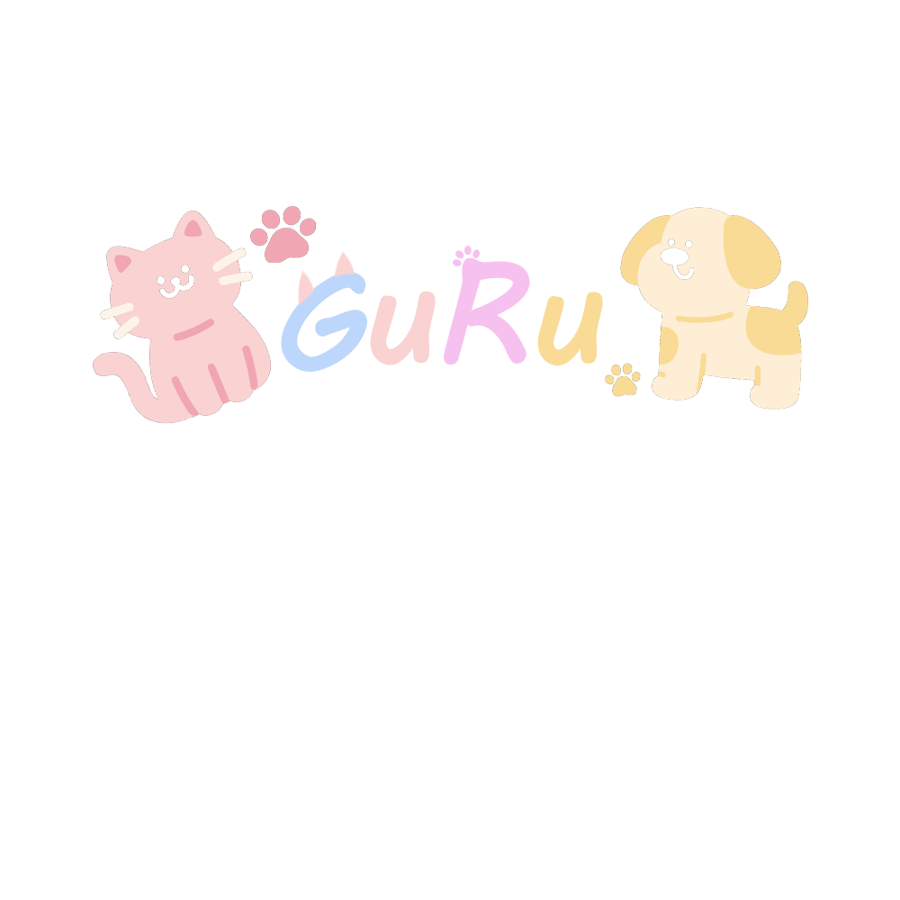 Spring and Summer Pet Lace Cam - Lace Teddy Lingerie 评论和价格